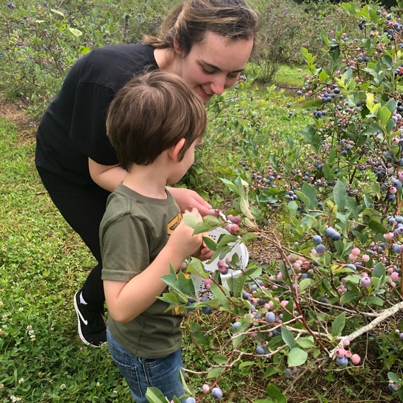 Meet your Posher, Jackelyn - Picture 1 of 1
